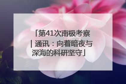 第41次南极考察｜通讯：向着暗夜与深海的科研坚守