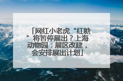 网红小老虎“红糖”将暂停展出？上海动物园：展区改建，会安排展出计划
