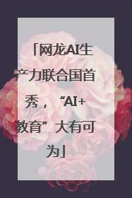 网龙AI生产力联合国首秀，“AI+教育”大有可为