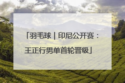 羽毛球｜印尼公开赛：王正行男单首轮晋级