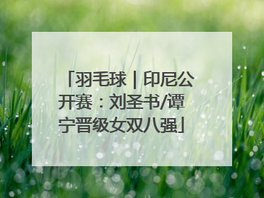 羽毛球｜印尼公开赛：刘圣书/谭宁晋级女双八强