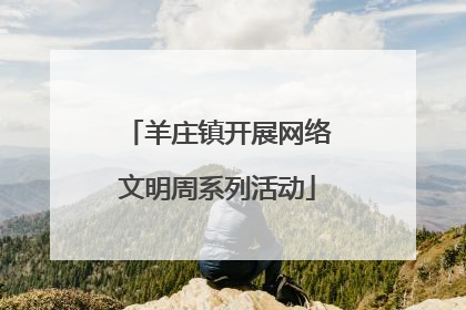 羊庄镇开展网络文明周系列活动