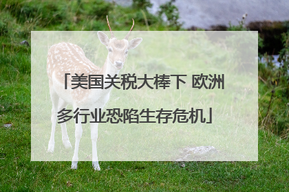 美国关税大棒下 欧洲多行业恐陷生存危机