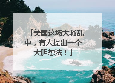 美国这场大骚乱中，有人提出一个大胆想法！