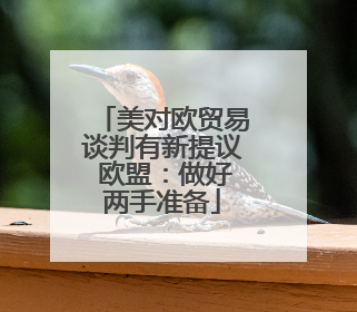 美对欧贸易谈判有新提议 欧盟：做好两手准备