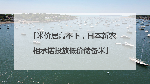 米价居高不下，日本新农相承诺投放低价储备米