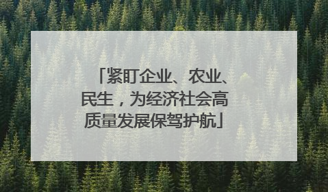 紧盯企业、农业、民生，为经济社会高质量发展保驾护航