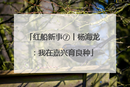 红船新事⑦丨杨海龙：我在嘉兴育良种