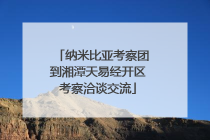纳米比亚考察团到湘潭天易经开区考察洽谈交流