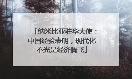 纳米比亚驻华大使：中国经验表明，现代化不光是经济腾飞