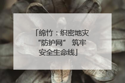 绵竹：织密地灾“防护网” 筑牢安全生命线
