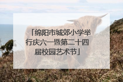 绵阳市城郊小学举行庆六一暨第二十四届校园艺术节