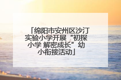 绵阳市安州区沙汀实验小学开展“初探小学 解密成长”幼小衔接活动