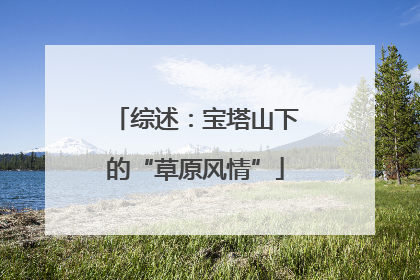 综述：宝塔山下的“草原风情”