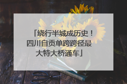 绕行半城成历史！四川自贡单跨跨径最大特大桥通车