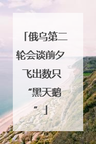 俄乌第二轮会谈前夕 飞出数只 “黑天鹅”