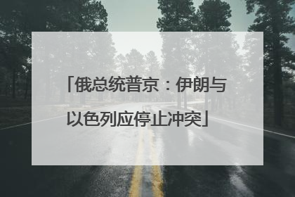 俄总统普京：伊朗与以色列应停止冲突
