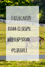 信长星许昆林会见西藏拉萨党政代表团