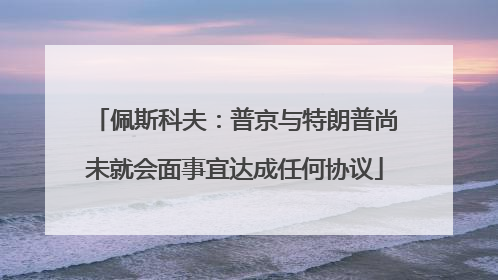 佩斯科夫：普京与特朗普尚未就会面事宜达成任何协议