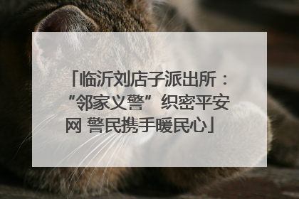 临沂刘店子派出所：“邻家义警”织密平安网 警民携手暖民心