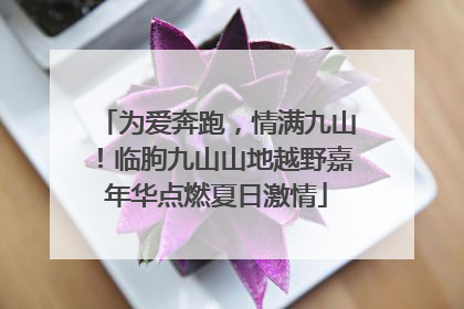 为爱奔跑，情满九山！临朐九山山地越野嘉年华点燃夏日激情