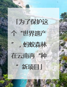 为了保护这个“世界遗产”，蚂蚁森林在云南再“种”新项目