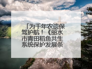 为千年农遗保驾护航！《丽水市青田稻鱼共生系统保护发展条例》正式施行
