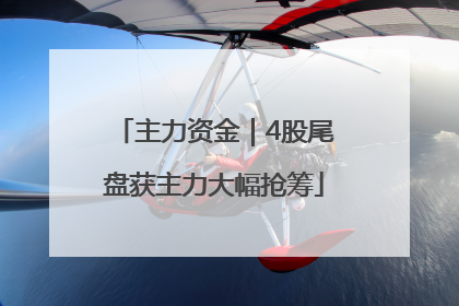 主力资金｜4股尾盘获主力大幅抢筹
