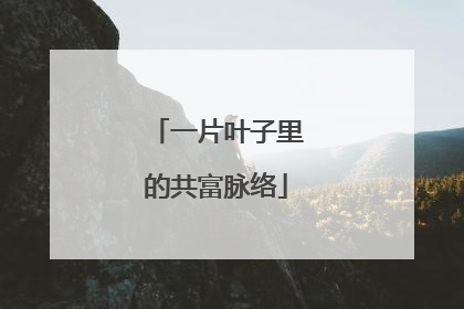 一片叶子里的共富脉络