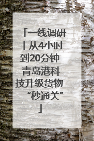 一线调研丨从4小时到20分钟 青岛港科技升级货物“秒通关”