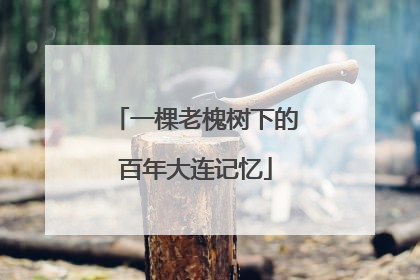 一棵老槐树下的百年大连记忆