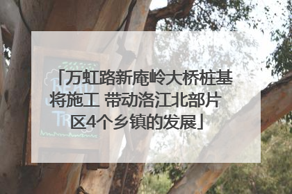 万虹路新庵岭大桥桩基将施工 带动洛江北部片区4个乡镇的发展
