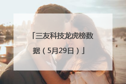 三友科技龙虎榜数据（5月29日）