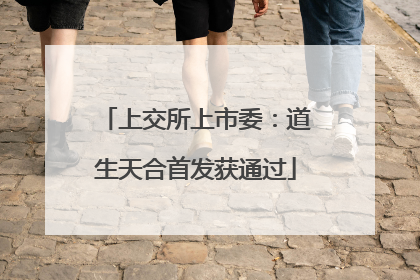 上交所上市委：道生天合首发获通过