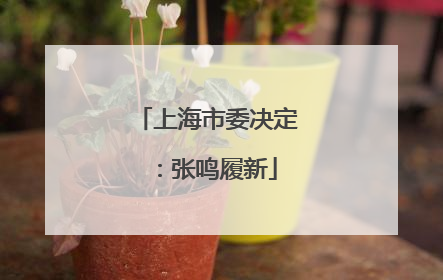 上海市委决定：张鸣履新