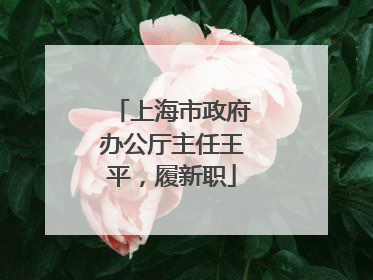 上海市政府办公厅主任王平，履新职