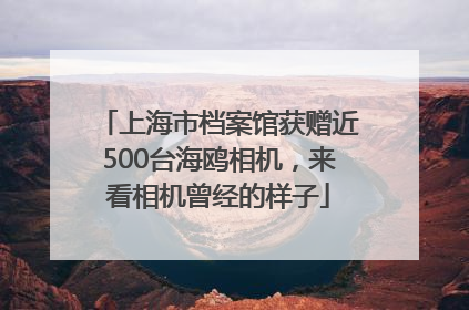 上海市档案馆获赠近500台海鸥相机，来看相机曾经的样子