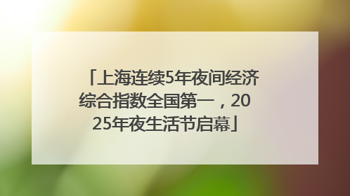上海连续5年夜间经济综合指数全国第一，2025年夜生活节启幕