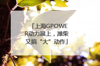 上海GPOWER动力展上，潍柴又搞“大”动作
