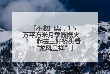 不收门票，1.5万平方米月季园爆火！一起去三好桥头看“龙凤呈祥”