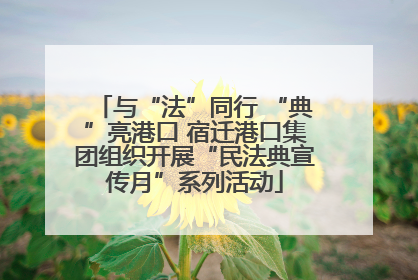 与“法”同行 “典”亮港口 宿迁港口集团组织开展“民法典宣传月”系列活动
