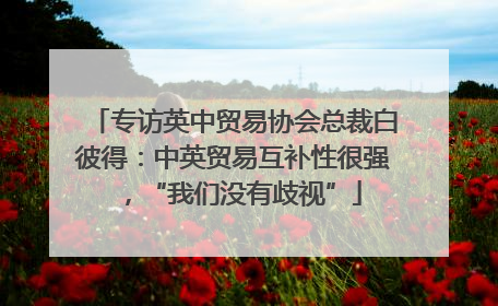 专访英中贸易协会总裁白彼得：中英贸易互补性很强，“我们没有歧视”