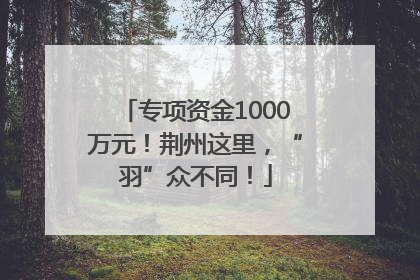 专项资金1000万元！荆州这里，“羽”众不同！
