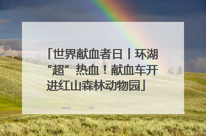 世界献血者日丨环湖“超”热血！献血车开进红山森林动物园