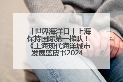 世界海洋日丨上海保持国际第一梯队！《上海现代海洋城市发展蓝皮书2024评估报告》发布