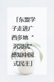 东盟学子走进广西多地“沉浸式”感知中国式民主