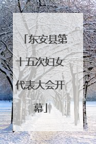 东安县第十五次妇女代表大会开幕