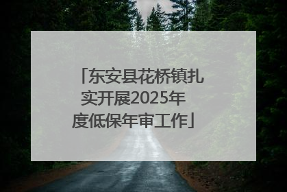 东安县花桥镇扎实开展2025年度低保年审工作