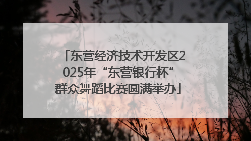 东营经济技术开发区2025年“东营银行杯”群众舞蹈比赛圆满举办