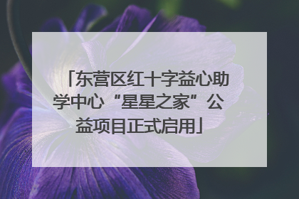 东营区红十字益心助学中心“星星之家”公益项目正式启用